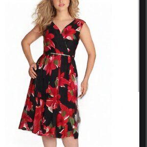 Big is Beautiful in this Alexa B dress